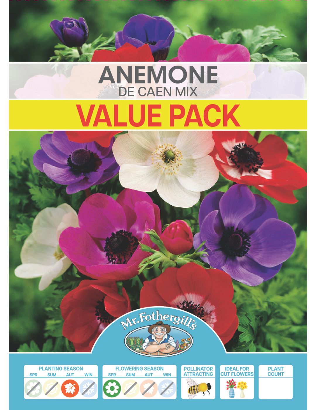 Anemone de Caen Mixed Value Pack