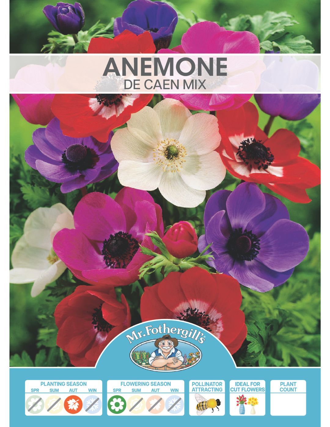 Anemone de Caen Mixed Bulbs