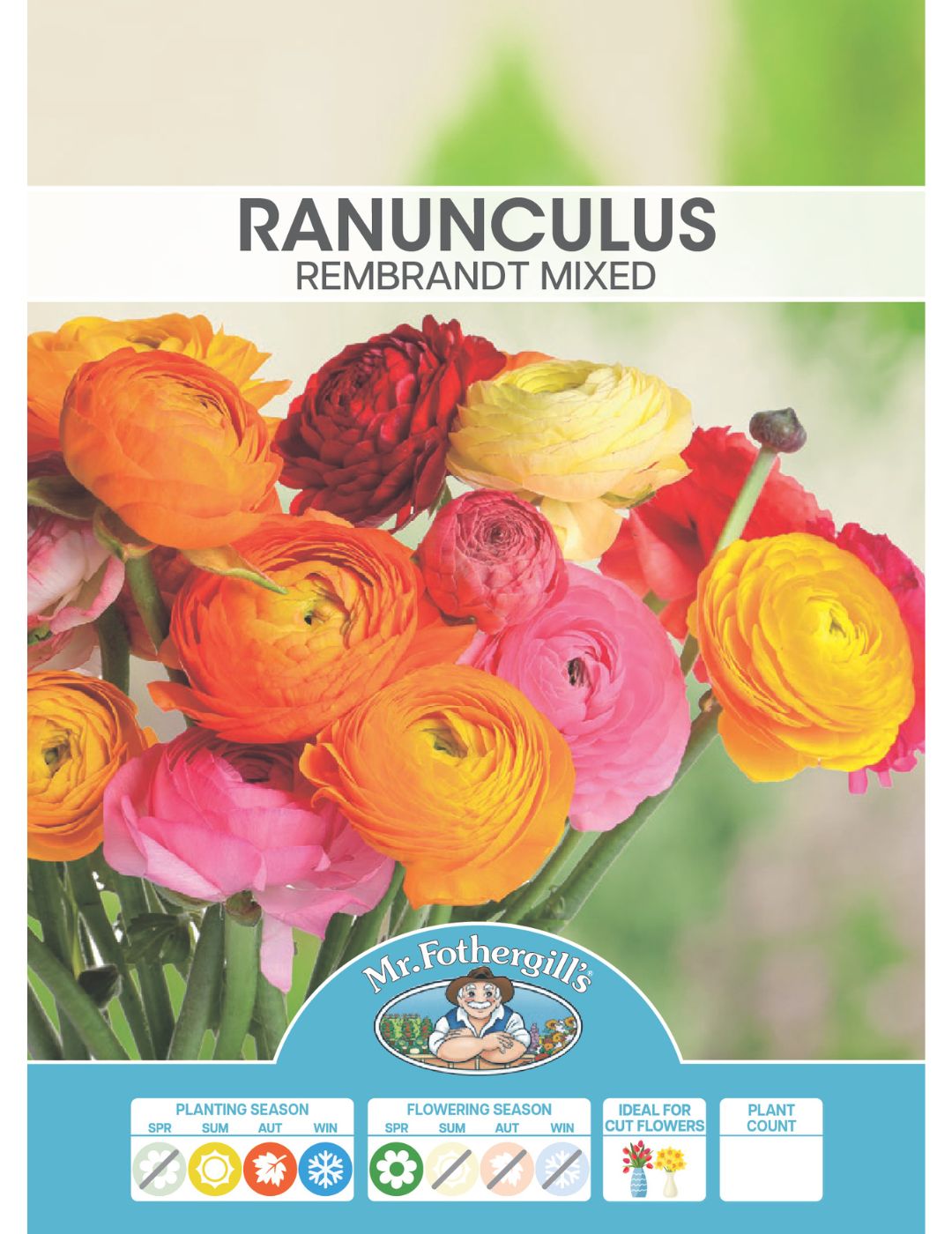 Ranunculus Rembrandt Mixed Bulbs