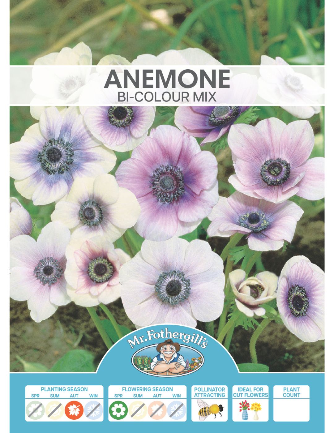 Anemone Bi-Colour Mixed Bulbs