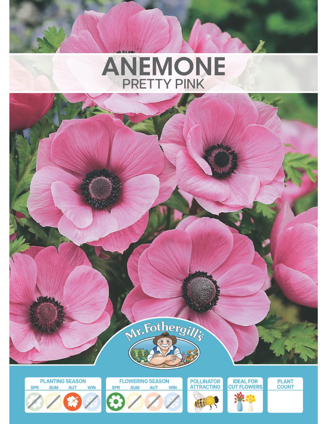 Anemone de Caen Pretty Pink Bulbs