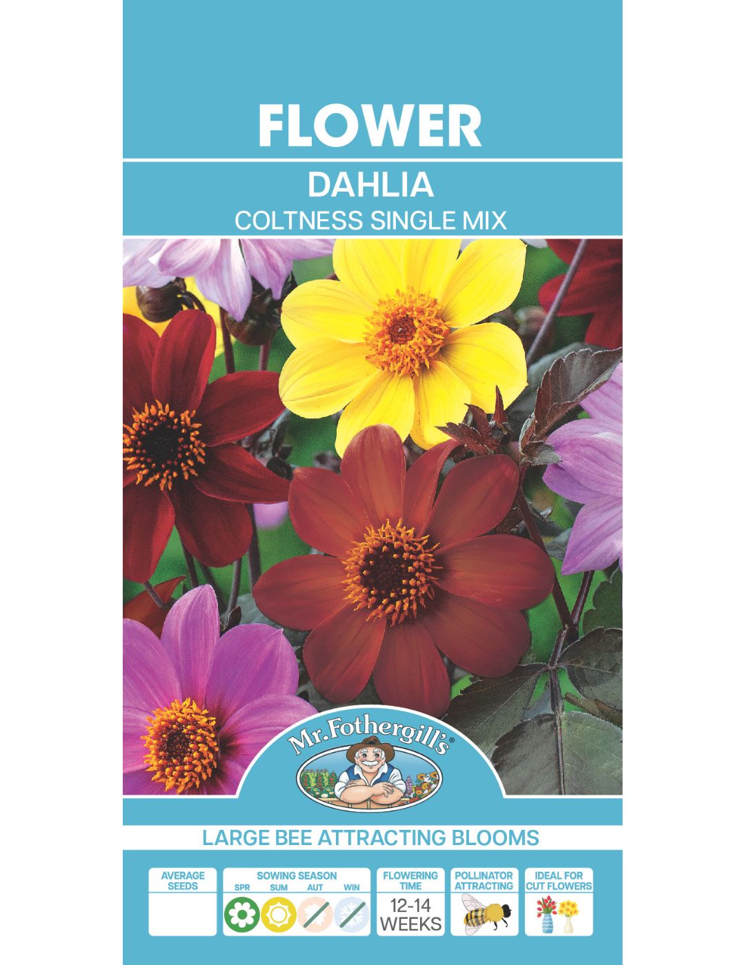 Dahlia Coltness Single Mix (Seeds) LIMITED EDITION