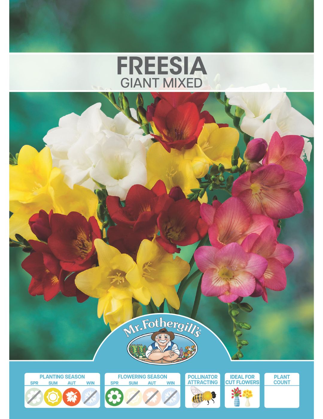 Freesia Giant Mix Bulbs