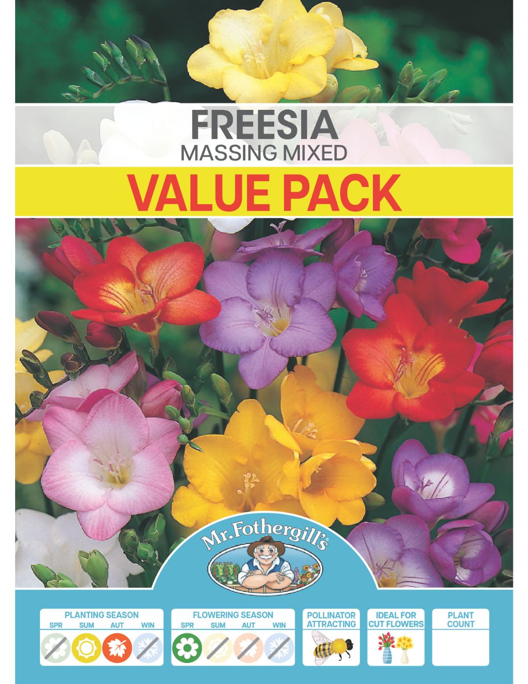 Freesia Massing Mixed Value Pack