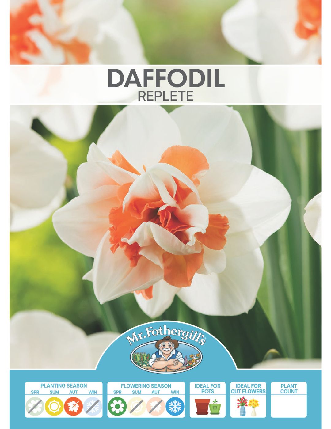 Daffodil Replete