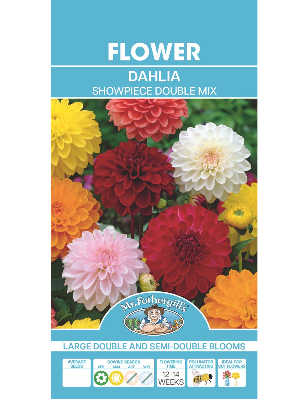 Dahlia Showpiece Double Mix (Seeds) LIMITED EDITION