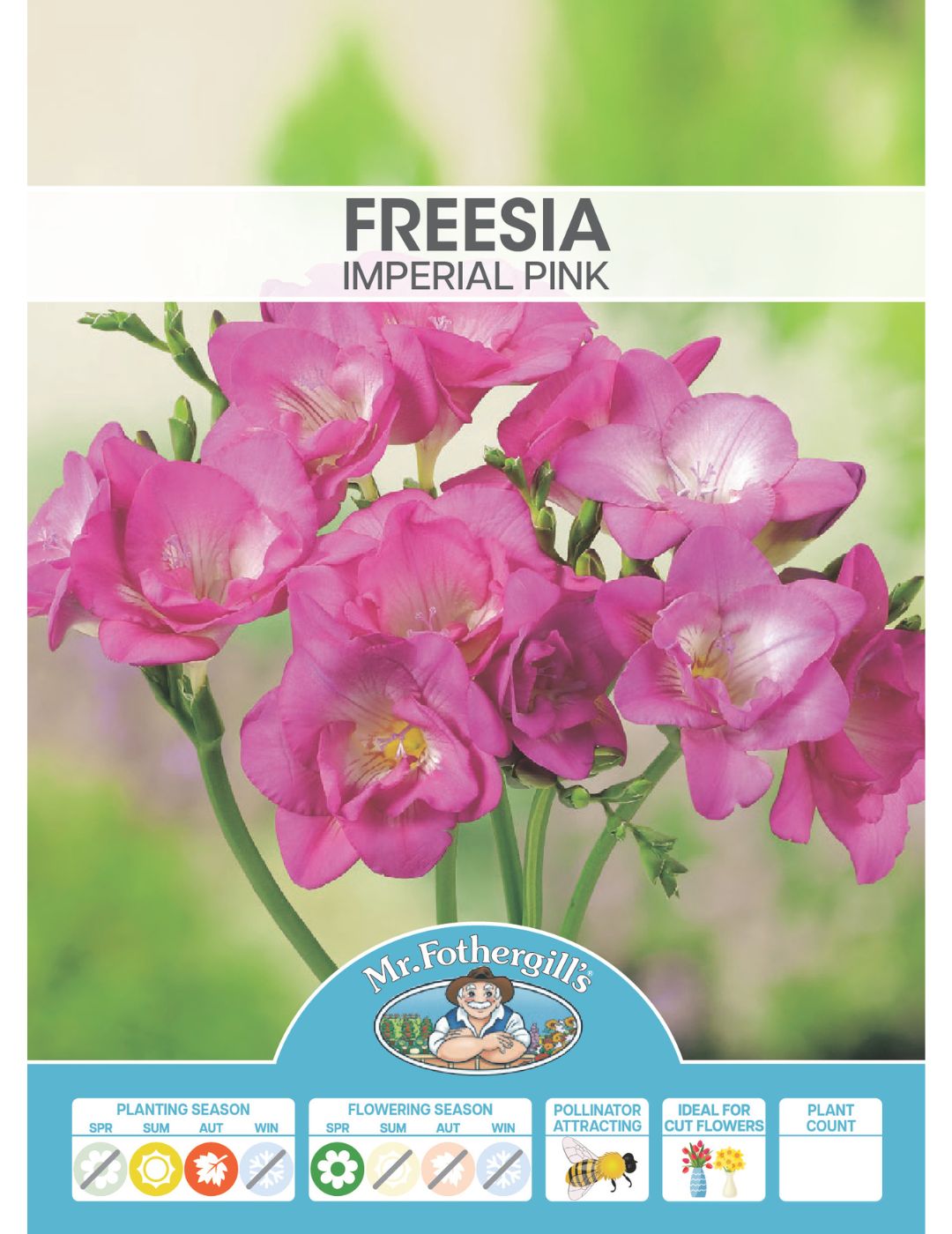 Freesia Imperial Pink