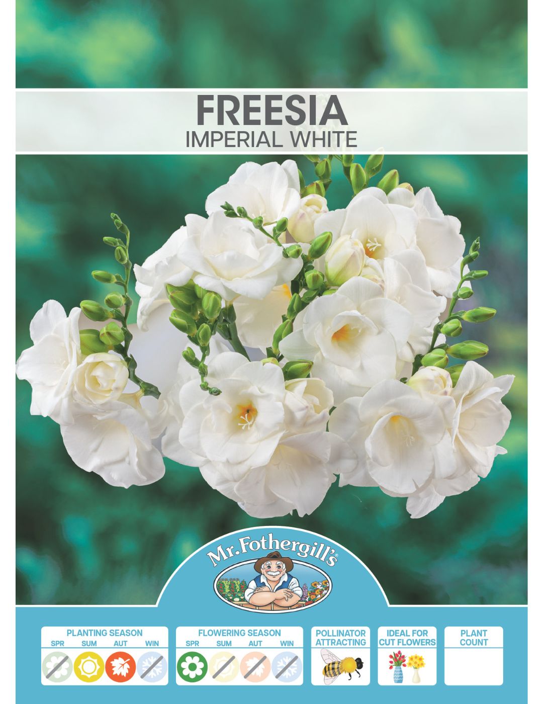 Freesia Imperial White