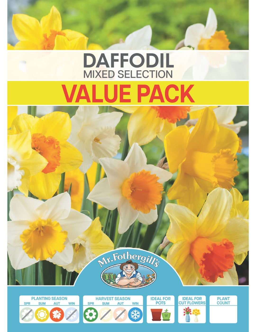 Daffodil Mixed Value Pack