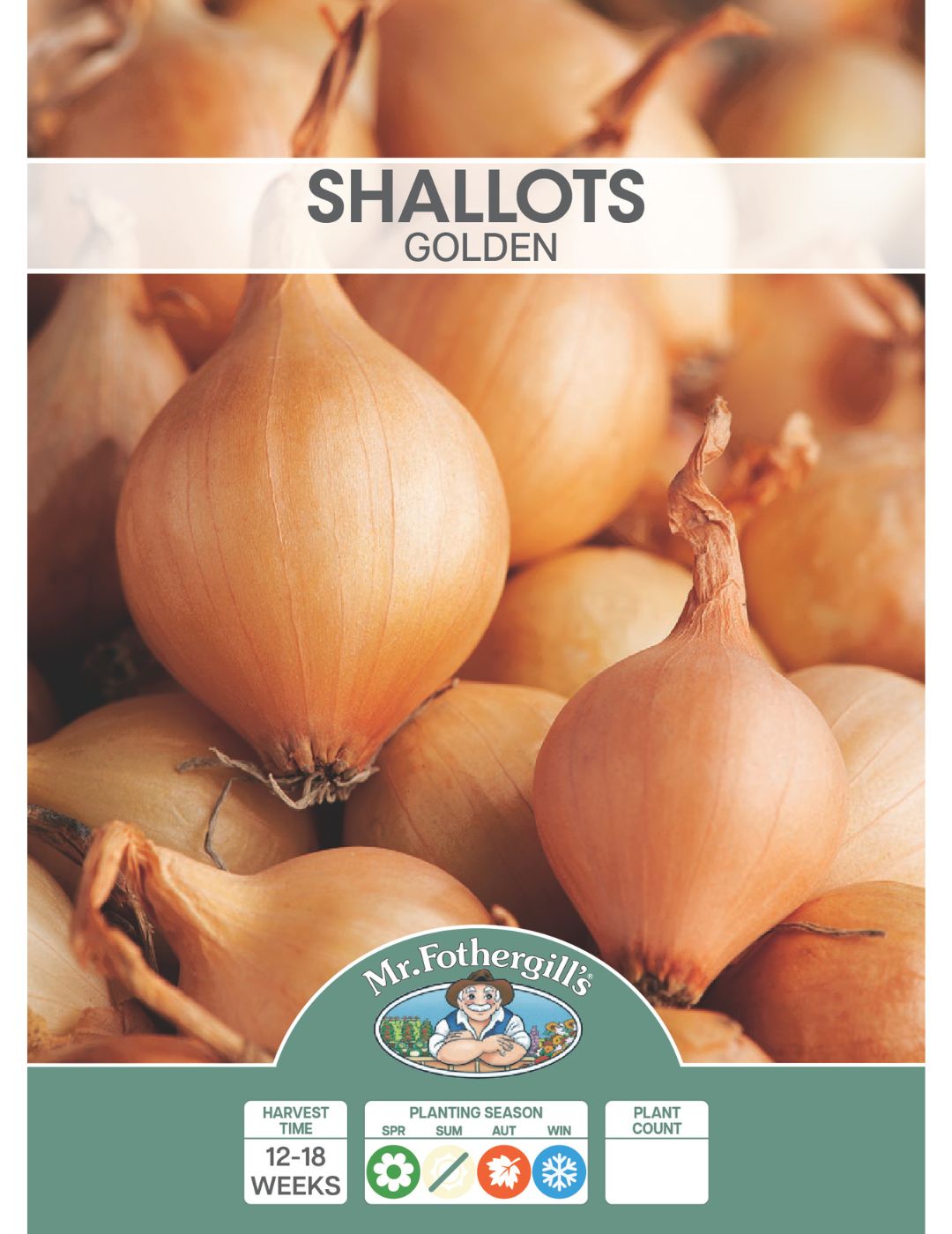 Shallots Golden (Bulbs)