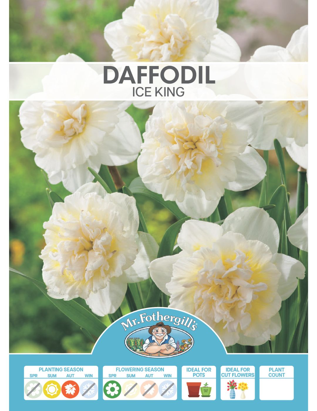 Daffodil Double Ice King