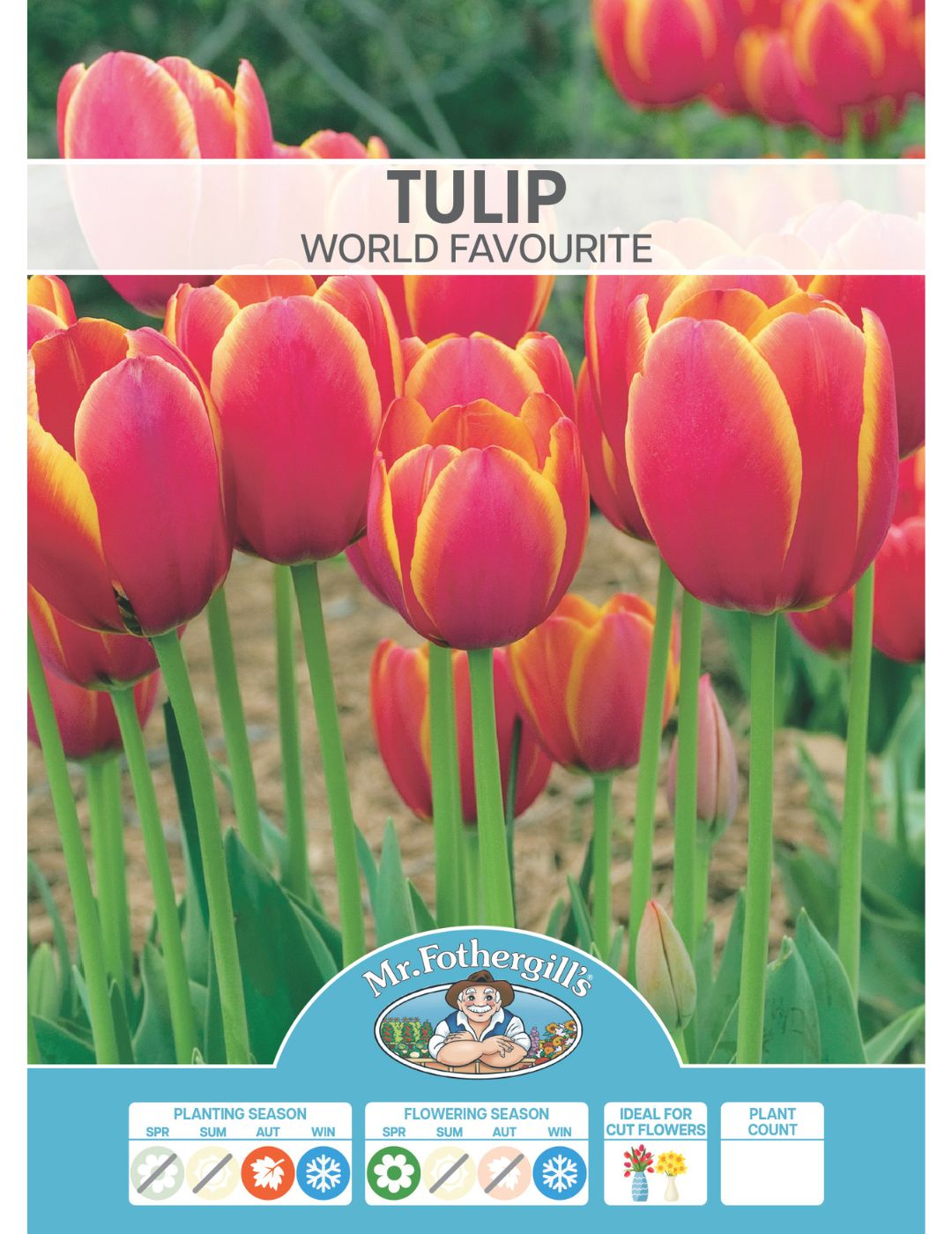 Tulip World Favourite Bulbs