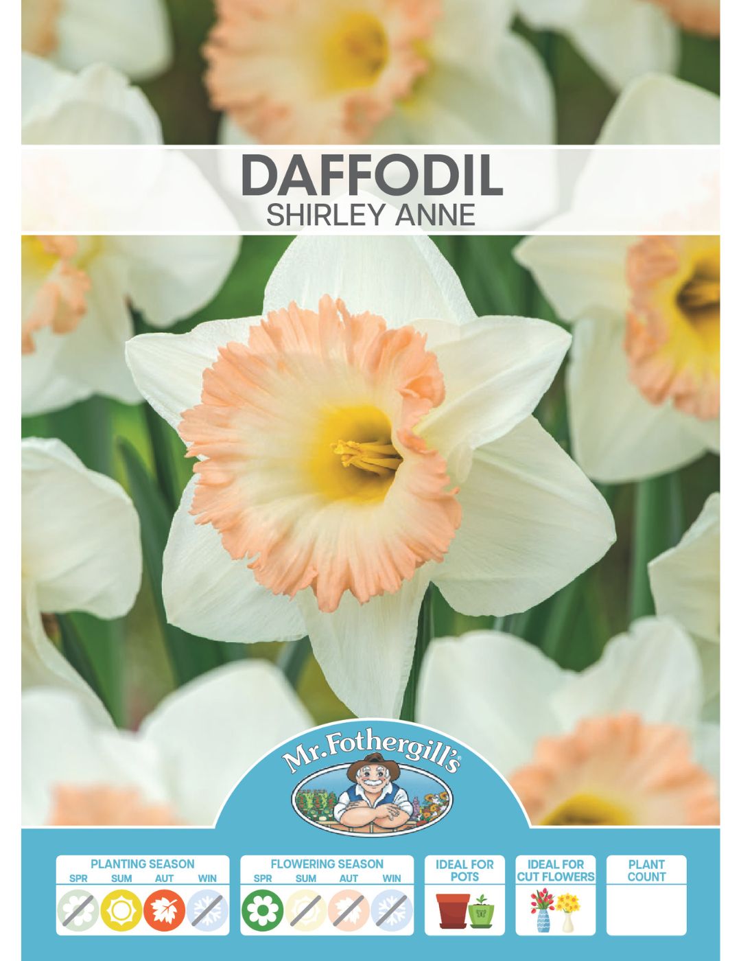 Daffodil Shirley Ann Bulbs