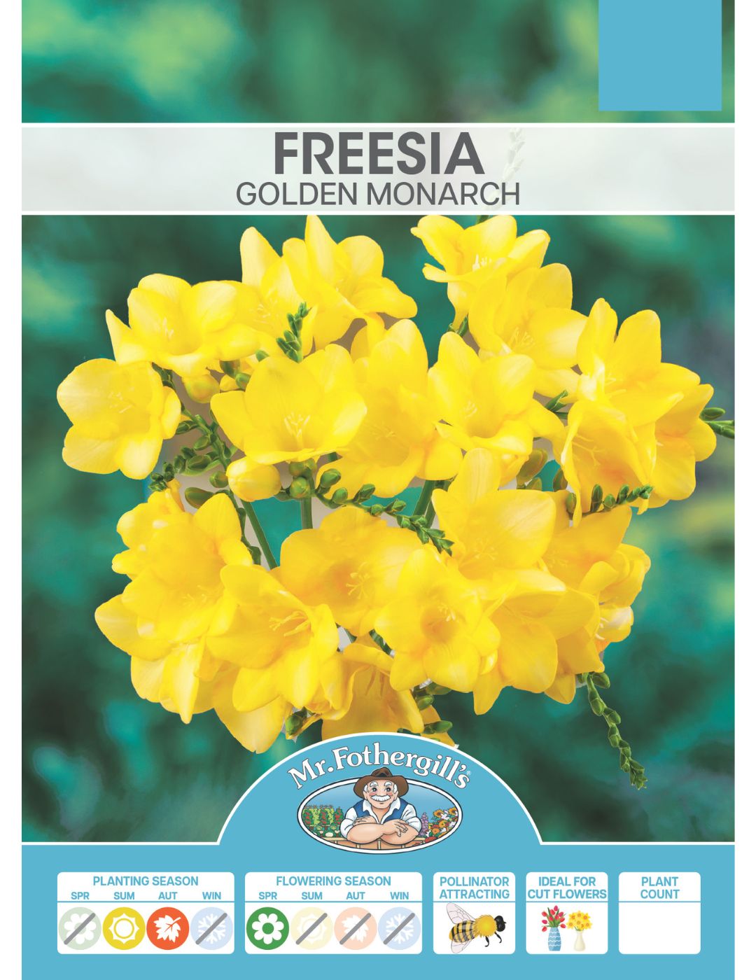 Freesia Golden Monarch Bulbs