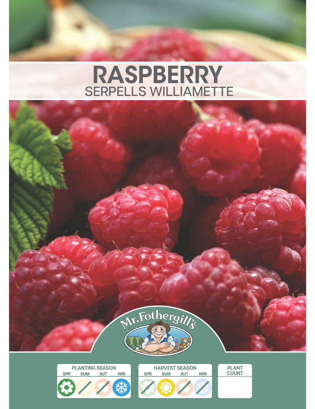 Raspberry Serpells Willamette