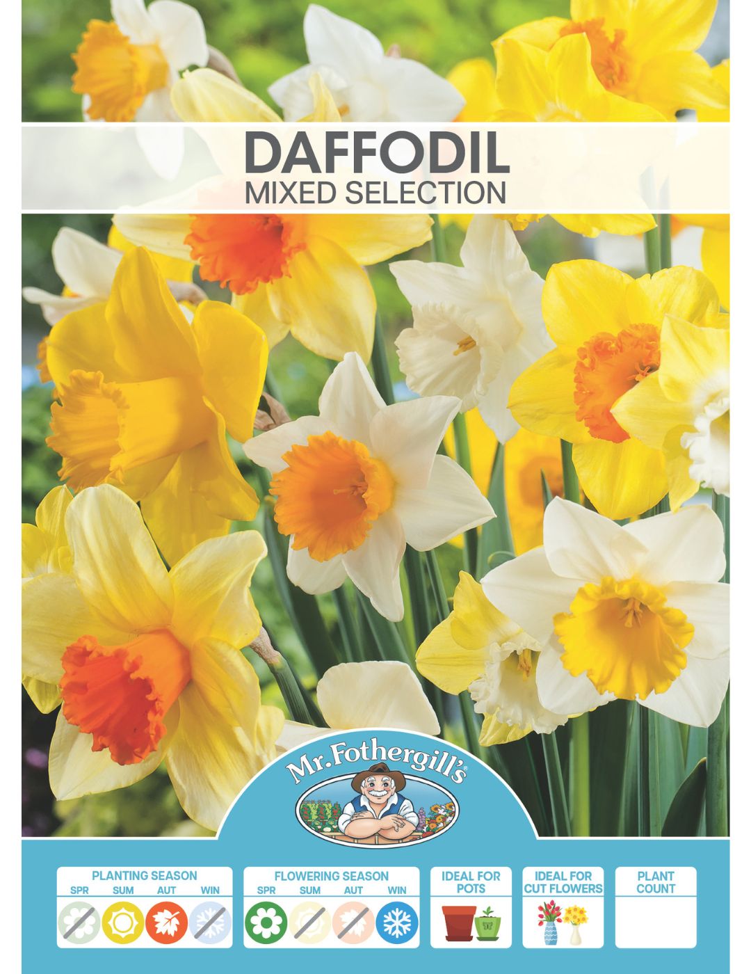 Daffodil Bulbs Mixed Selection