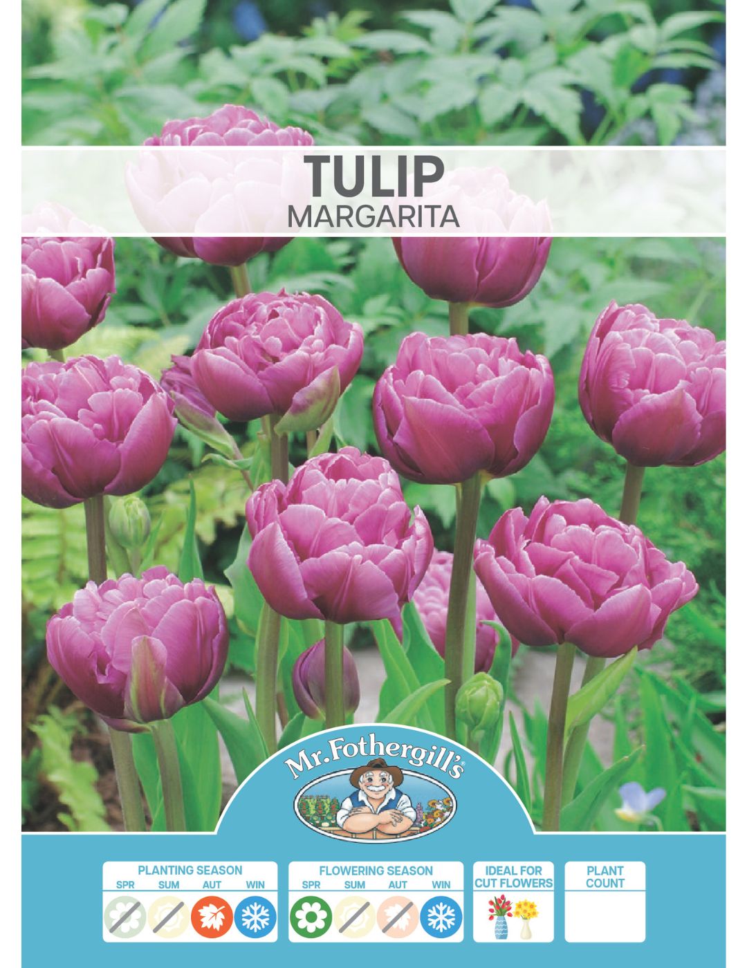 Tulip Double Margarita