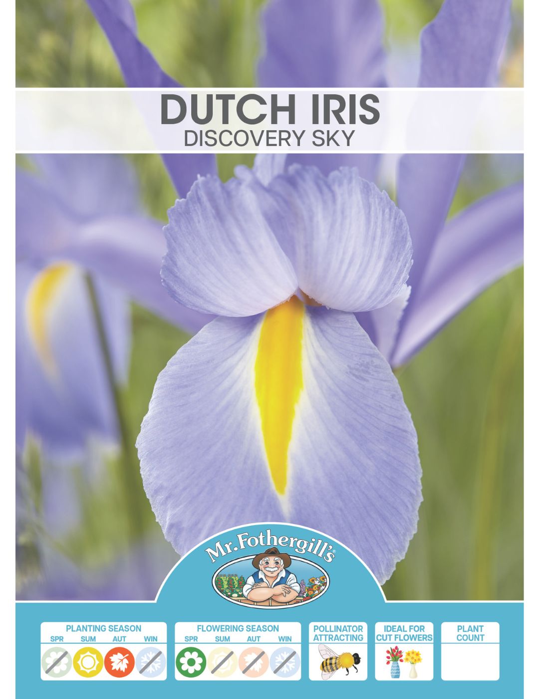 Dutch Iris Discovery Sky Bulbs