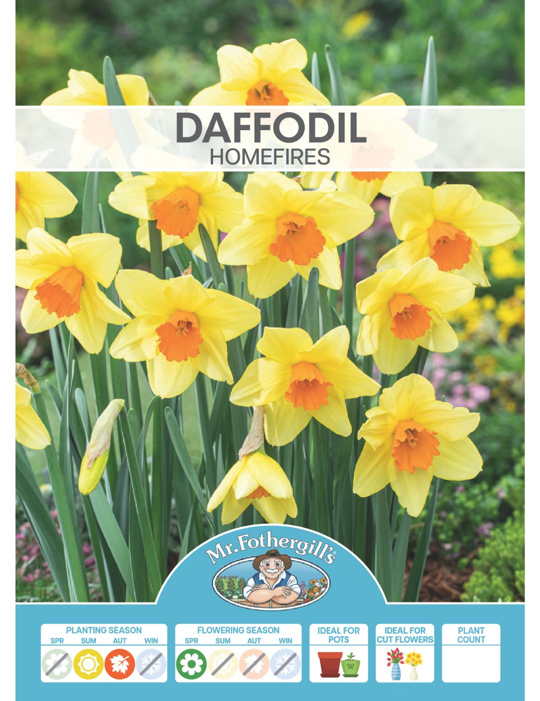 Daffodil Homefires