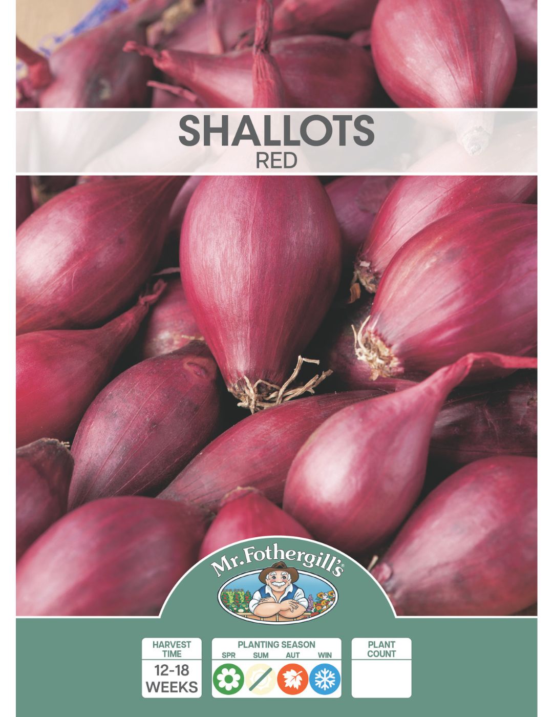 Shallots Red (Bulbs)