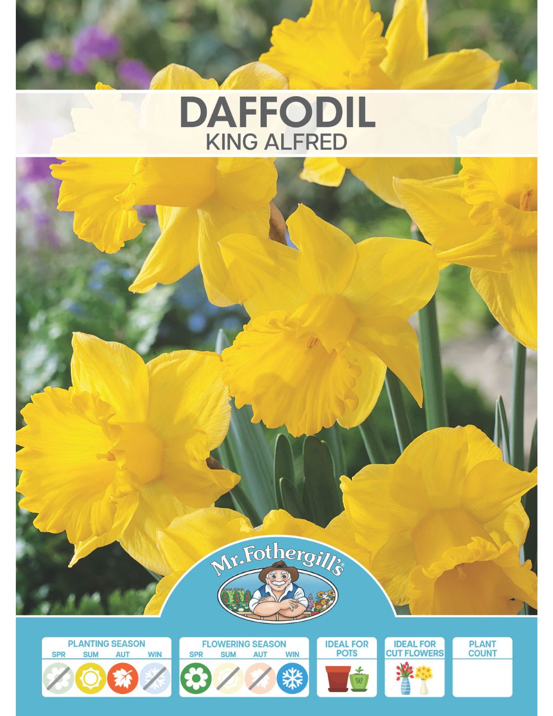 Daffodil King Alfred Bulbs