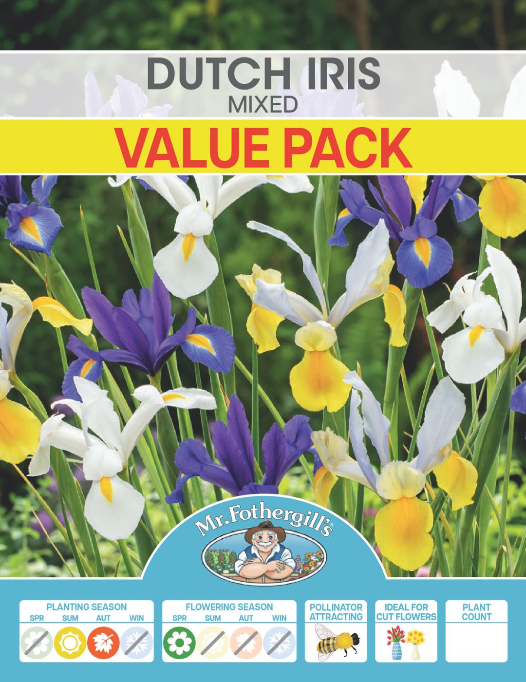 Dutch Iris Mixed Bulbs Value Pack