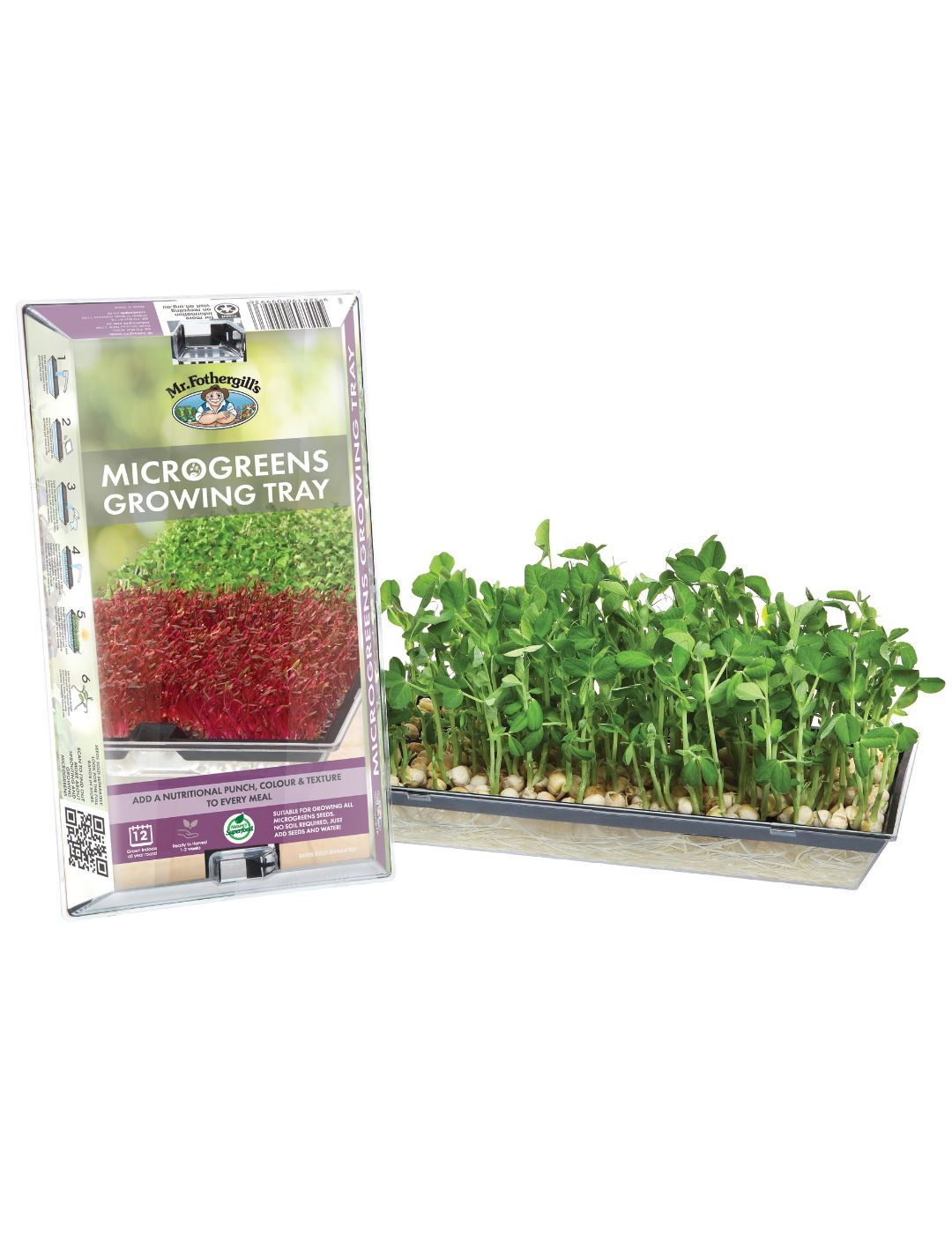 Microgreens Growing Tray