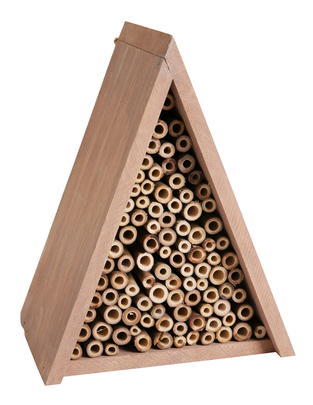 Triangle Paulownia Bee House