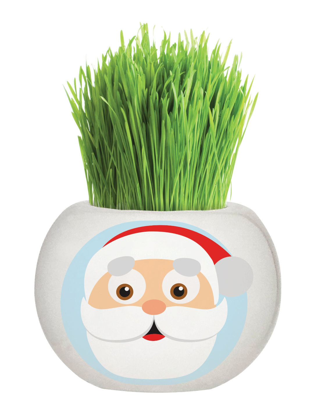 Grass Hair Kit - Christmas (Santa)