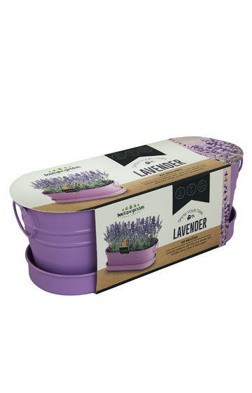 Lavender - Windowsill Tin