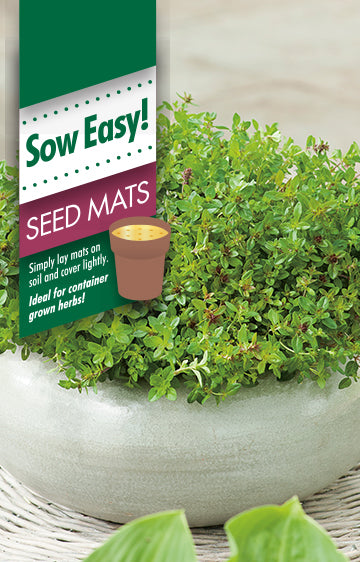 Thyme Seed Mat