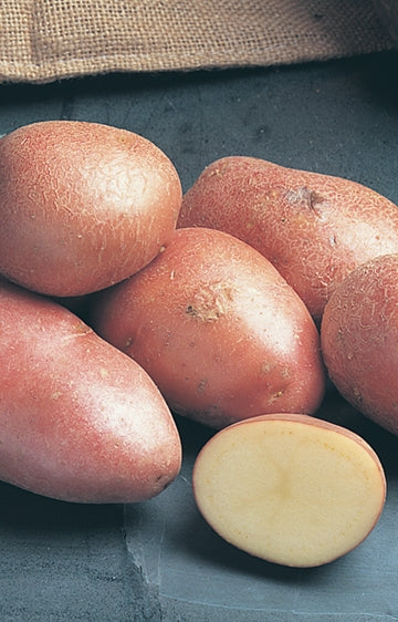 Potato Desiree 500g bag