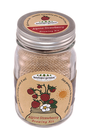 Mason Jar Grow Kits - Strawberry Alpine
