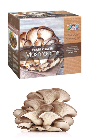 Pearl Oyster Mushroom Kit - NOT AVAILABLE TO WA & TAS