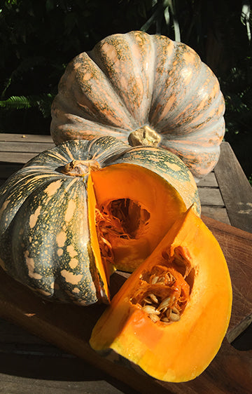 Kent Pumpkin Seeds