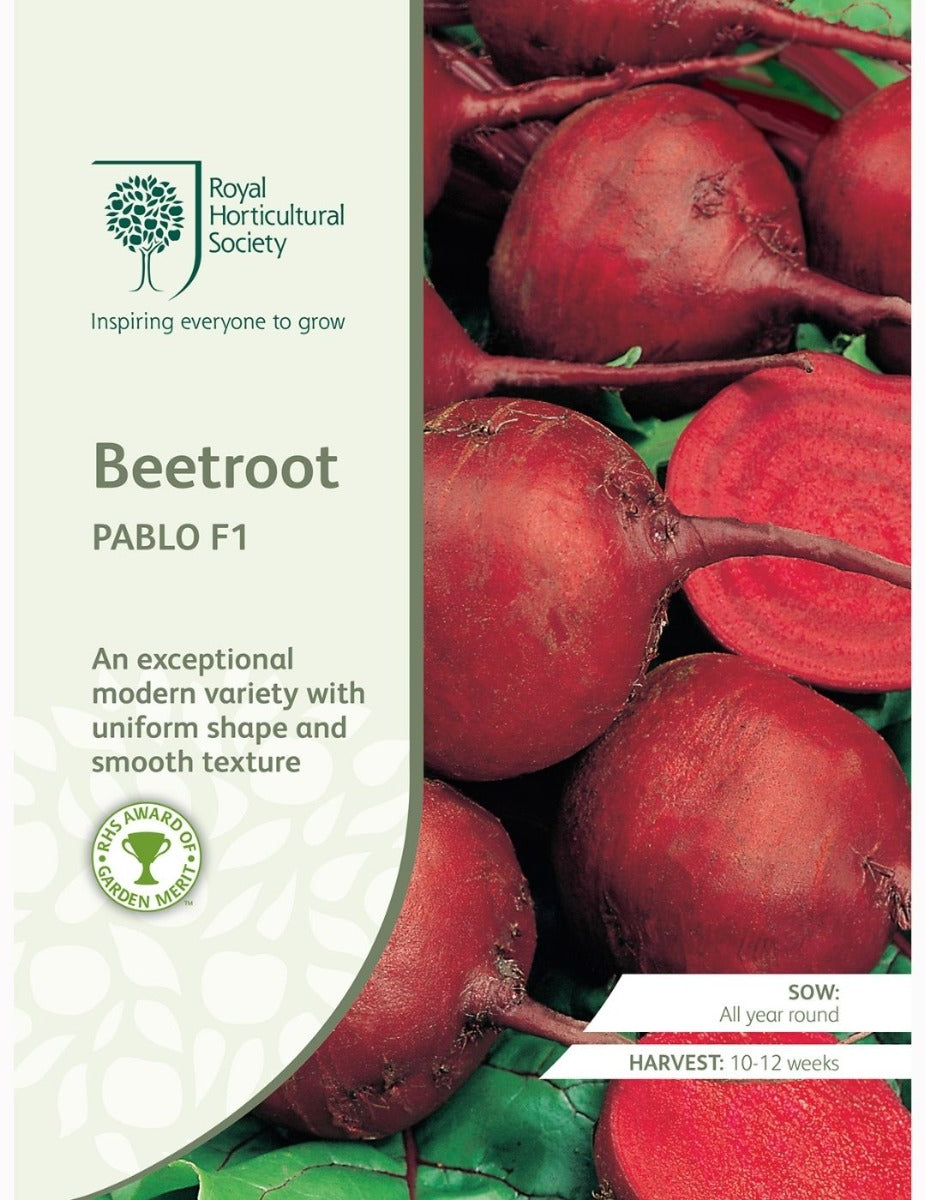 Beetroot Pablo F1