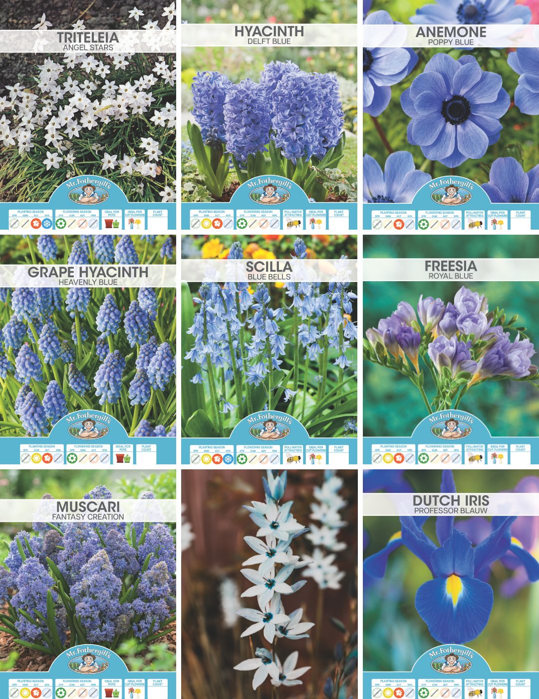 Blue Bulbs Bundle