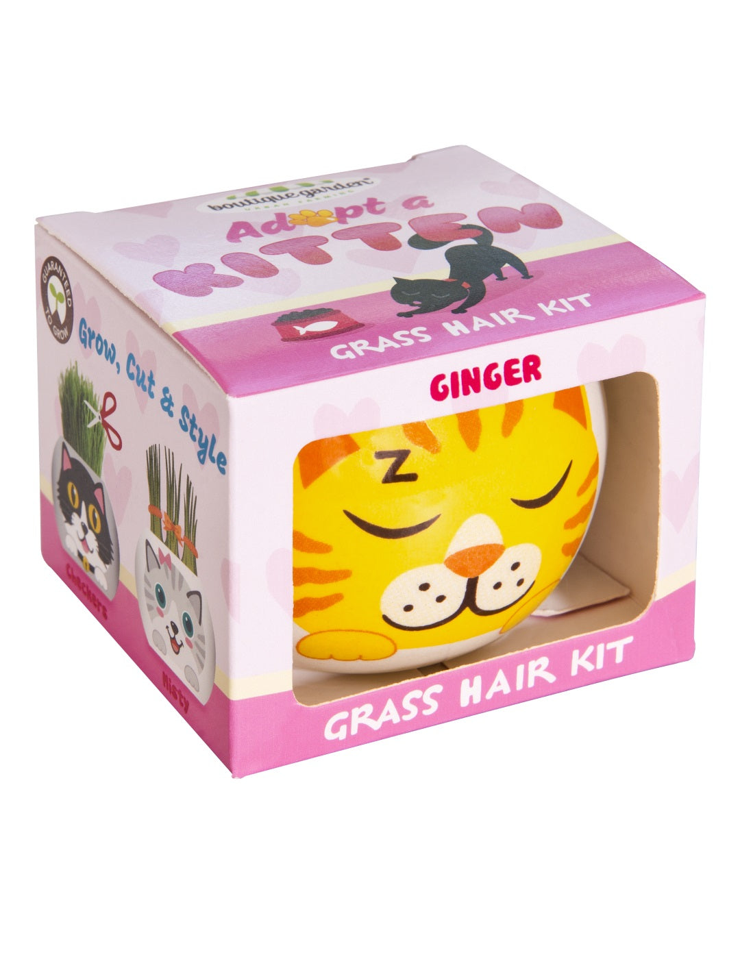 Grass Hair Kit - Kittens (Ginger)