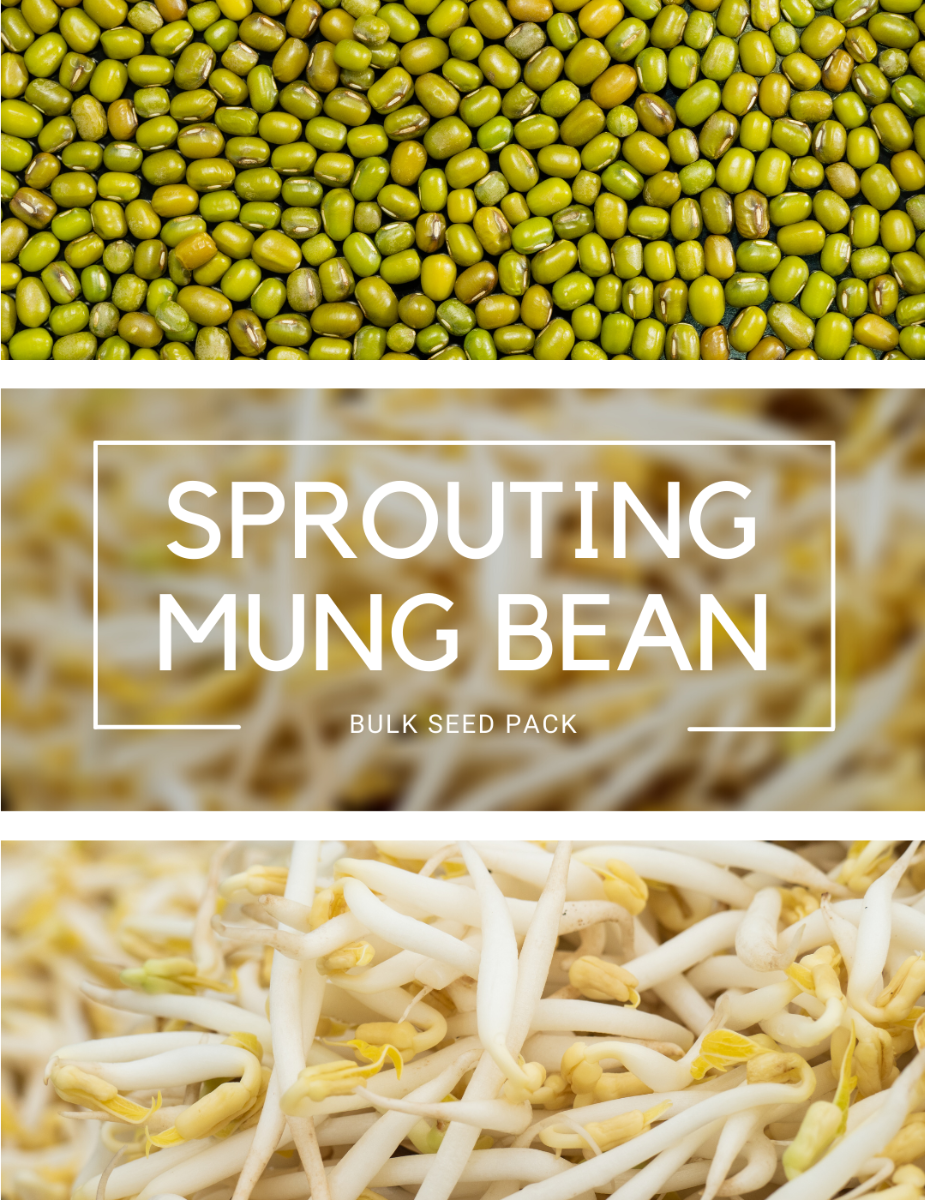 Sprouting Mung Bean - BULK BAG