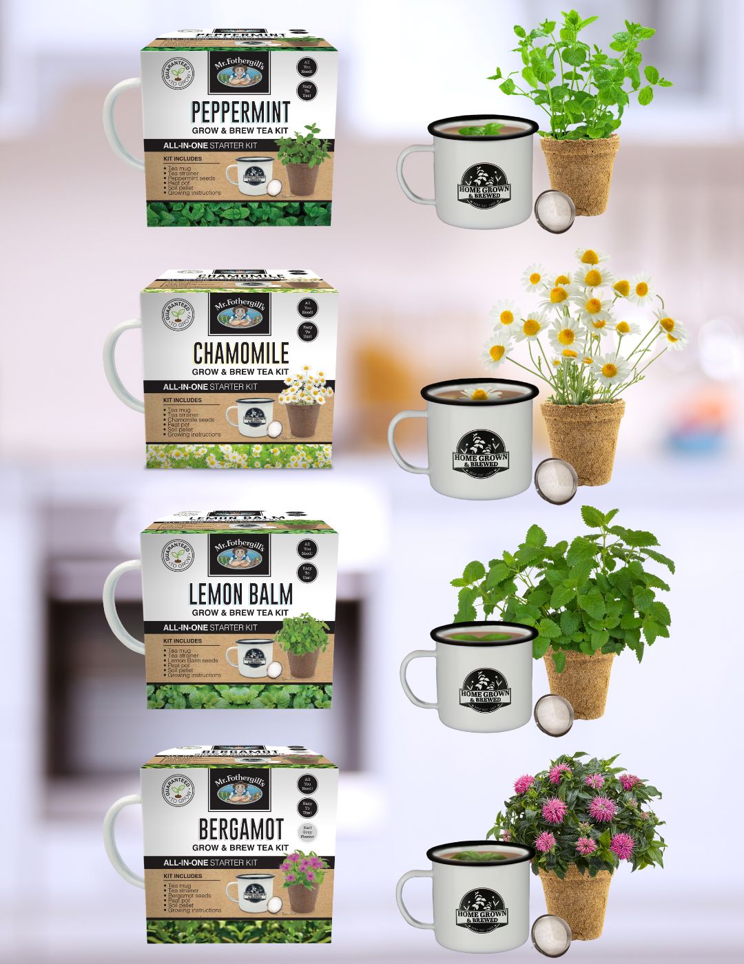 Grow & Brew Tea Kit Bundle