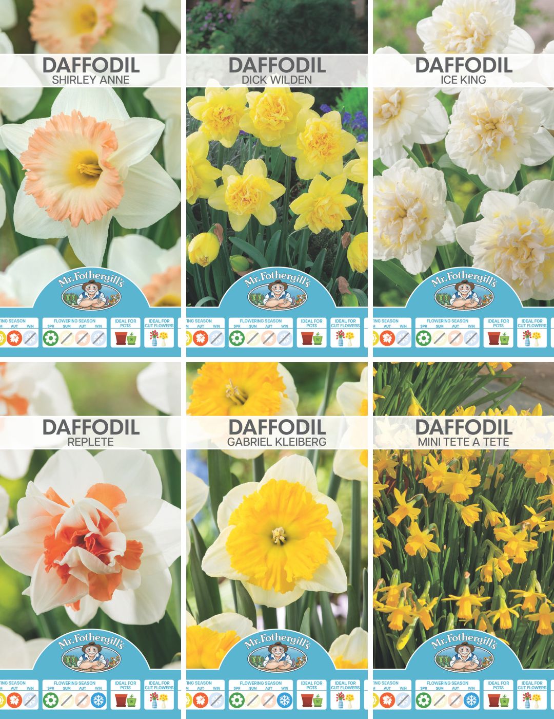 Dozens Of Daffodils Bundle