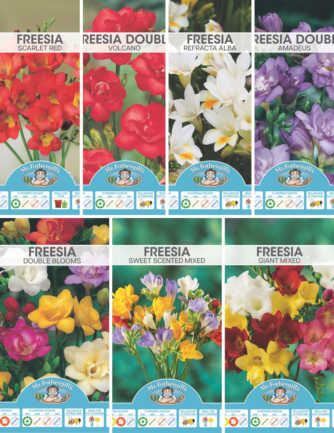 Freesia Frenzy Bundle