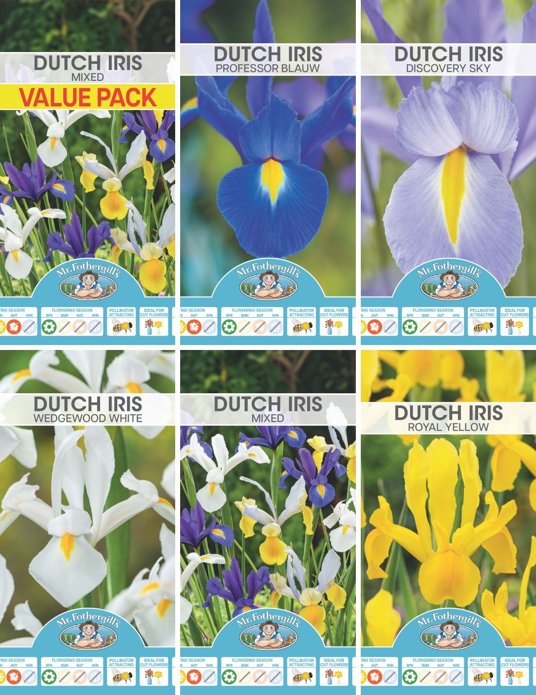 Dutch Iris Delight Bundle