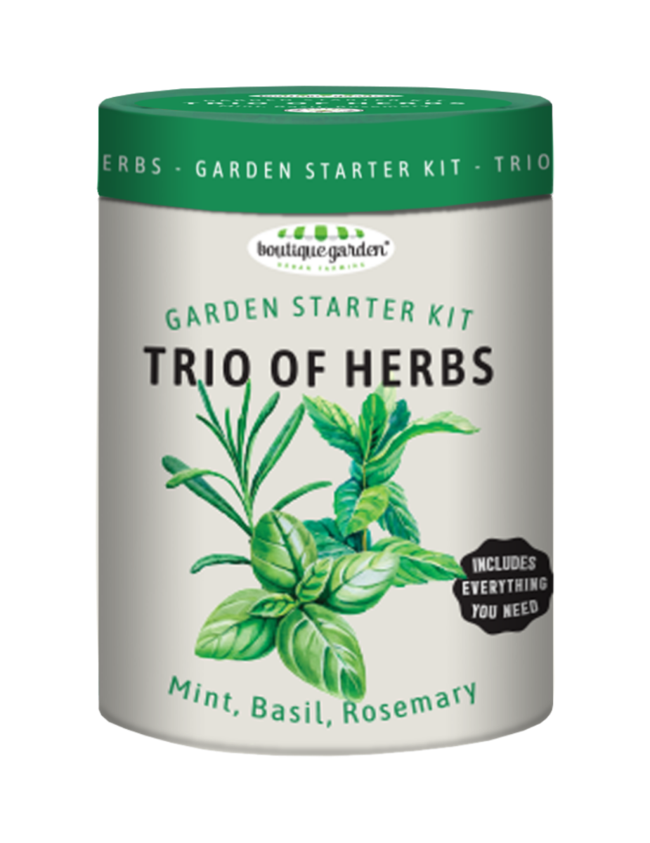 Trio of Herbs Garden Starter Kit