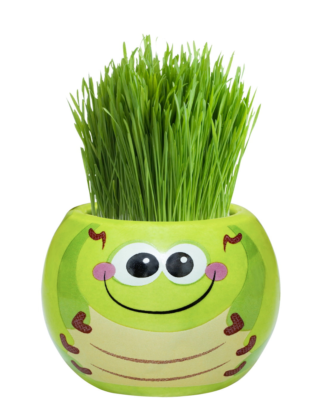 Grass Hair Kit - Friendly Bugs (Caterpillar)