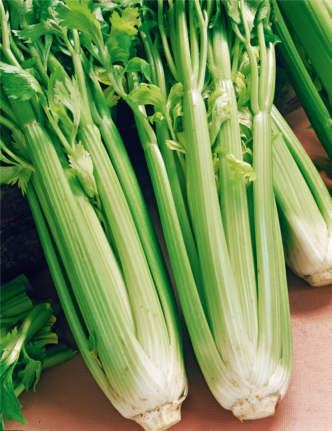 Celery Tall Utah