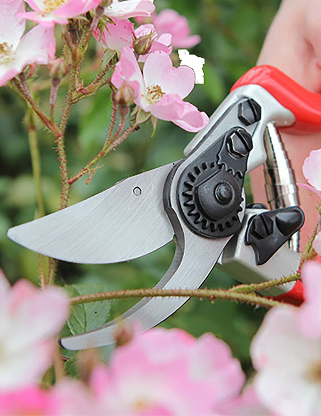 Darlac Expert Bypass Pruner Secateurs