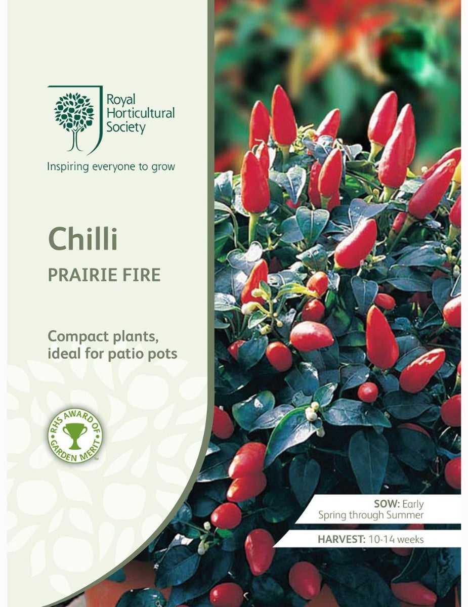 Chilli Prairie Fire