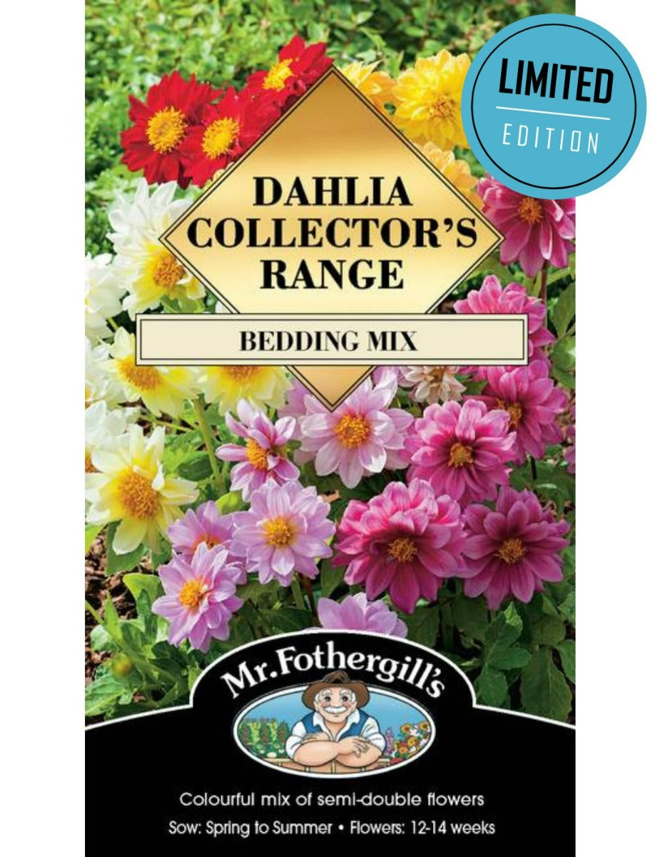 Dahlia Bedding Mix (Seeds) LIMITED EDITION