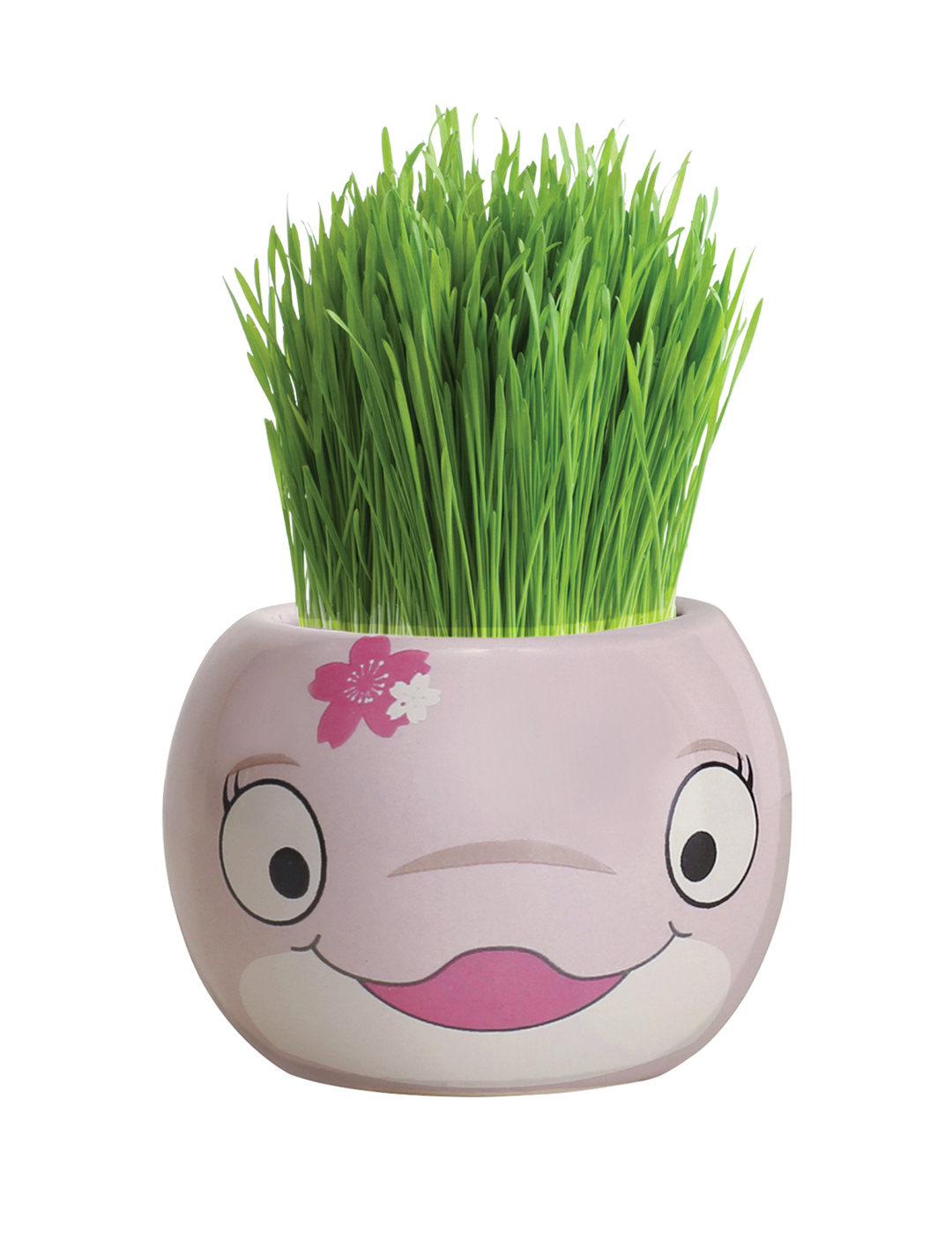 Grass Hair Kit - Ocean Animals (Dolphin)